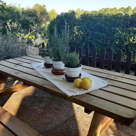 Bellocchio * Locorotondo