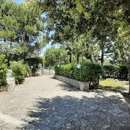 Bellocchio