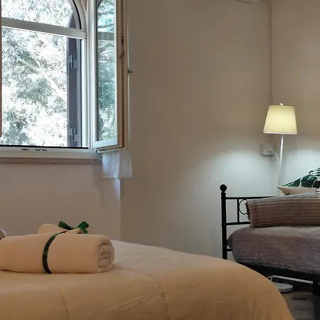 Bellocchio לוקורוטונדו