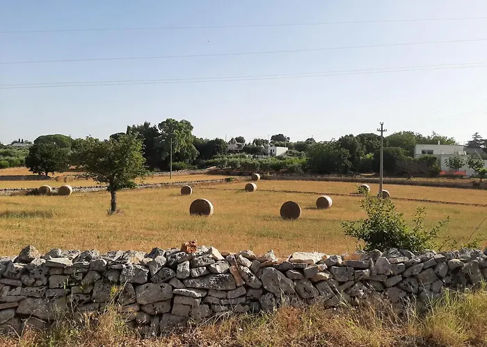 Bellocchio 로코로톤도